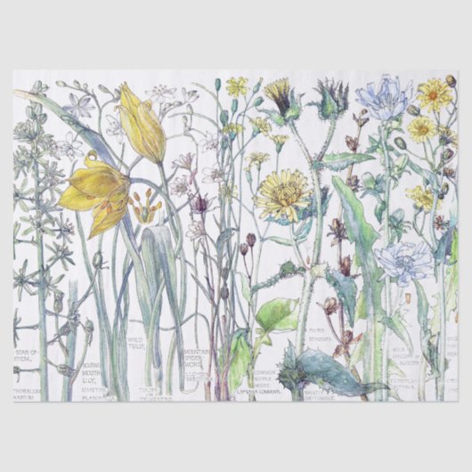 Botanische tulpbloem Vloeibaar papier (Voorkant)