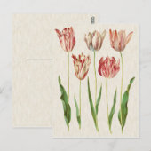  botanische Tulpen illustratie Briefkaart (Voorkant / Achterkant)