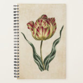  botanische tuulp planner (Voorkant)