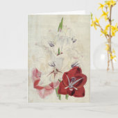 botanische variëteiten van Gladiolus Kaart (Gele Bloem)