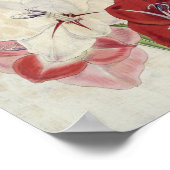  botanische variëteiten van Gladiolus Poster (Hoek)