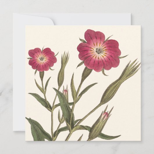  botanische verjaardag voor Lady Gardener Kaart (Voorkant)