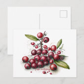 Botanische verse veenbessen briefkaart (Voorkant / Achterkant)