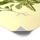  Botanische Vibrant Viola Tricolor Pansies Poster (Hoek)