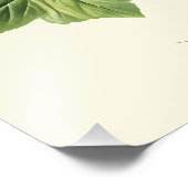 Botanische Vintage Bloem Marsh-Mallow Poster (Hoek)