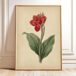 Botanische Vintage Bloemenschildering op Canvas Poster
