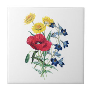 Botanische Vintage Wildbloemen - Poppy, Daisy, Bel Tegeltje