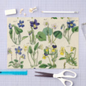 Botanische viooltjes  bloemenpapier tissuepapier (Craft)