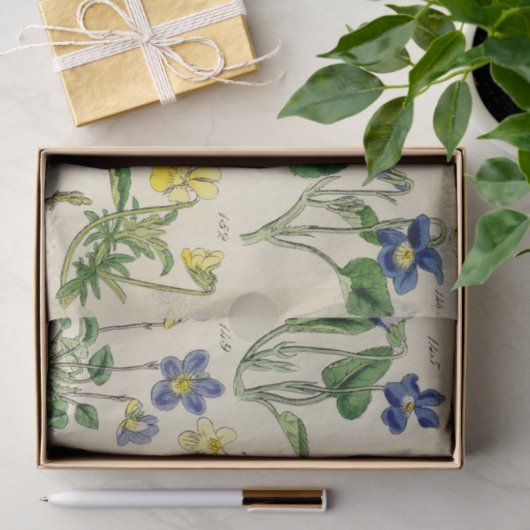 Botanische viooltjes bloemenpapier tissuepapier (Geschenk)