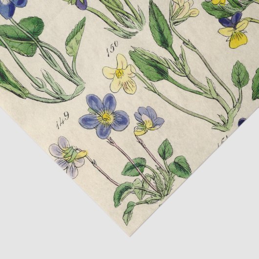 Botanische viooltjes  bloemenpapier tissuepapier (Detail)