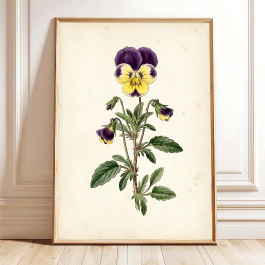 Botanische Viooltjes Boerderij Muurkunst Poster
