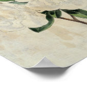 botanische vlag van wapenstilstand Azalea Poster (Hoek)