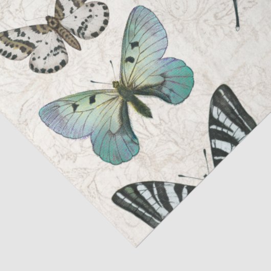 Botanische vlinder  blauw in witte ontkoppeling tissuepapier (Detail)