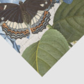Botanische vlinder Blauwe tuintuin Ontschroothoop Tissuepapier (Detail)