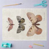 Botanische  vlinder doorschijnend ontkleurd tissuepapier (Craft)