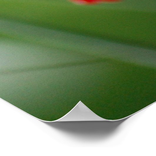 Botanische vlinder poster (Hoek)