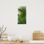 Botanische vlinder poster (Keuken)