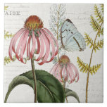 Botanische Vlinder Roze Wildflower Varen  3 Tegeltje<br><div class="desc">Nr. 3 van 5 coördinerende tegel opties. Bleke blauwe kleine bergvlinder en een roze Echinacea-wilde bloem staan centraal in deze collage met handschrift efemera en antiek adverteren afbeeldingen over een zacht crème,  ivoren getextureerde achtergrond. Collage gemaakt en grafisch ontworpen door internationaal erkende kunstenaar en ontwerper,  Audrey Jeanne Roberts,  copyright.</div>