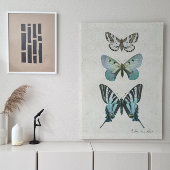 Botanische vlinder  Stustblauw ontspringen Tissuepapier