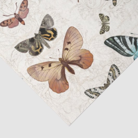 Botanische vlinderblauw  loszijde tissuepapier (Detail)