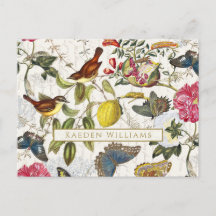  botanische vlinders en Briefkaart van vogels
