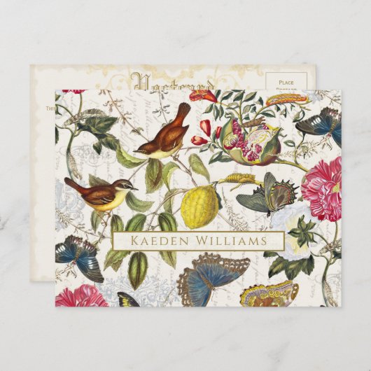 botanische vlinders en Briefkaart van vogels (Voorkant / Achterkant)