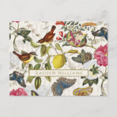 botanische vlinders en Briefkaart van vogels (Voorkant)