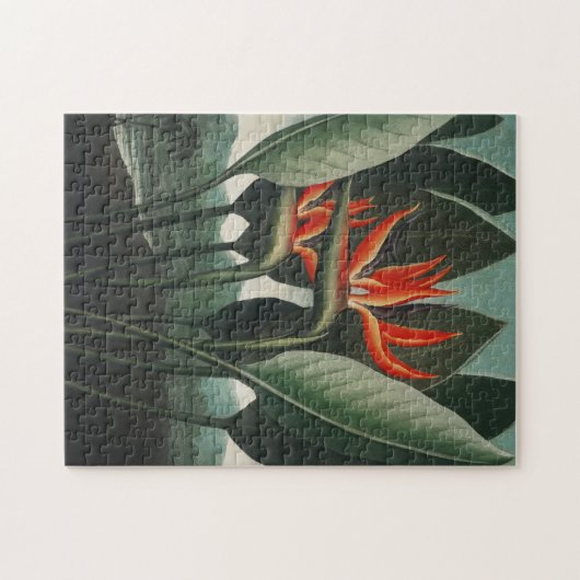  Botanische Vogel van het Paradijs Jigsaw Puzzel (Horizontaal)
