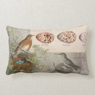  botanische vogels Nest Eggs Gray Ephemera Kussen