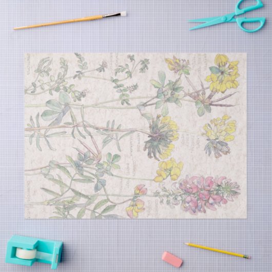 Botanische vogelvoet Vloerweefsel van wilde bloeme Tissuepapier (Craft)