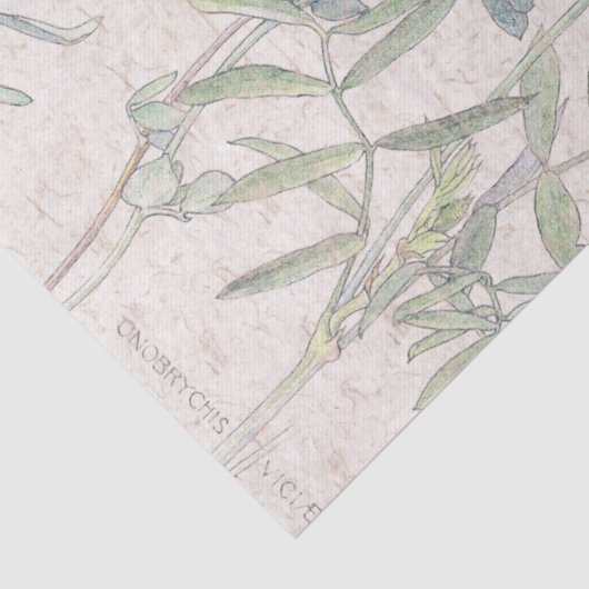 Botanische vogelvoet Vloerweefsel van wilde bloeme Tissuepapier (Detail)