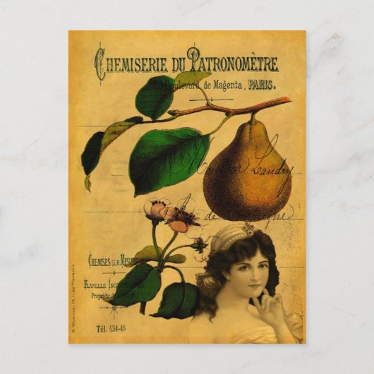 Botanische vruchten briefkaart (Voorkant)