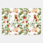 Botanische vruchten en olievlekpapierset inpakpapier vel (Voorkant 2)