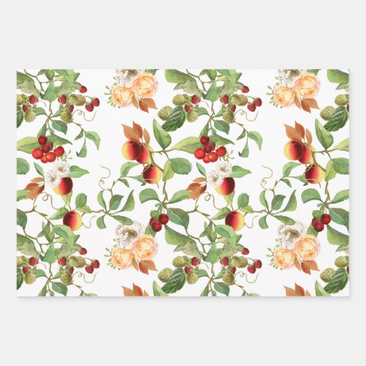 Botanische vruchten en olievlekpapierset inpakpapier vel (Voorkant 2)