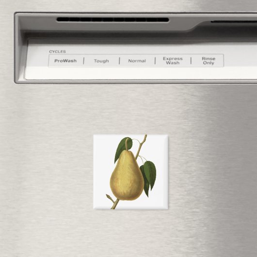 Botanische vruchtenpeer magneet (Insitu (Vaatwasser))