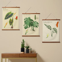 Botanische wandtapijten - Monstera Set