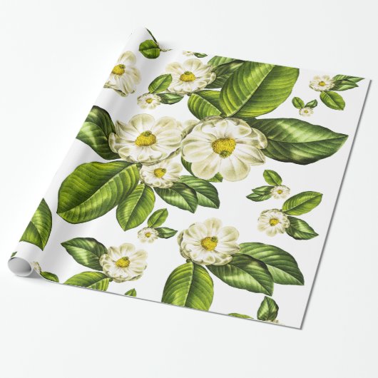 Botanische wappapier van Magnolia Flowers Cadeaupapier (Uitgerold)