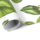 Botanische wappapier van Magnolia Flowers Cadeaupapier (Rol Hoek)