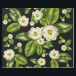 Botanische wappapier van Magnolia Flowers Cadeaupapier<br><div class="desc">Magnoliumbloemverpakkingpapier op basis van onze Magnolia #9 kunstprint,  deze met een dramatische zwarte achtergrond.</div>
