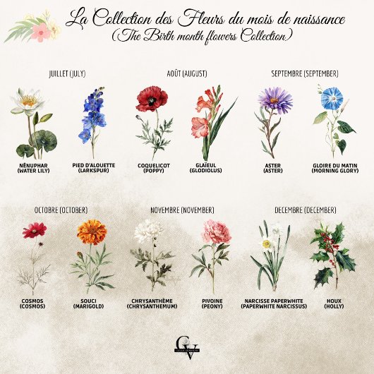 Botanische waterbotanische bloem met rode anjer poster