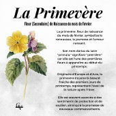 Botanische waterbotanische bloem poster