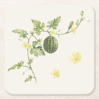 Botanische watermeloen wing papier coaster kartonnen onderzetters