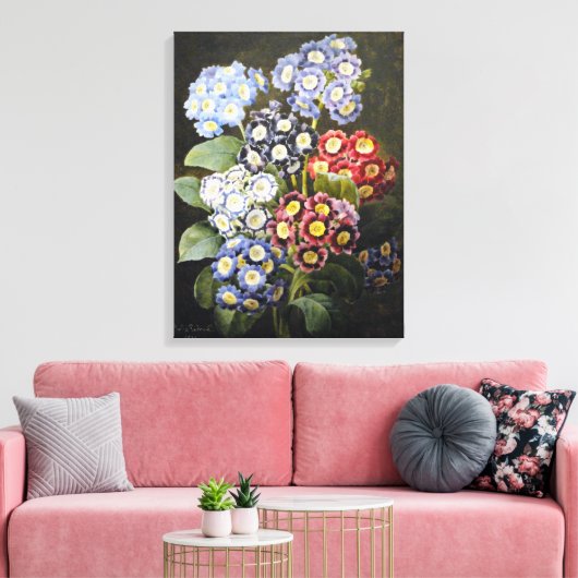 botanische Waterverf Art Auriculas Canvas Afdruk (Insitu (Woonkamer))