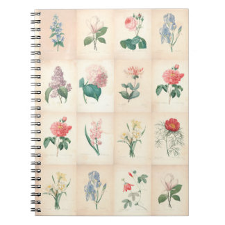  botanische Waterverf door Redoute-laptop Notitieboek