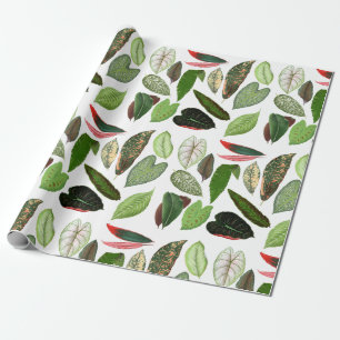Botanische Waterverf  groene bladeren Cadeaupapier