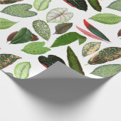 Botanische Waterverf  groene bladeren Cadeaupapier (Hoek)