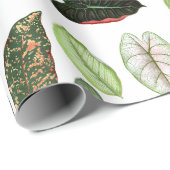 Botanische Waterverf  groene bladeren Cadeaupapier (Rol Hoek)