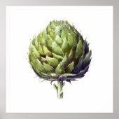 Botanische waterverf van Artichoke Poster (Voorkant)