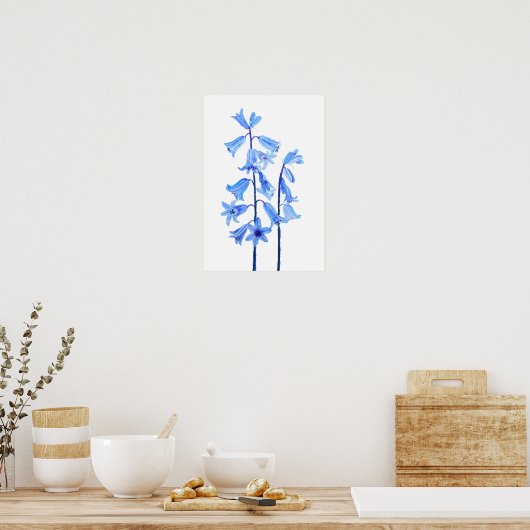 Botanische waterverf van blaasbloem poster (Keuken)