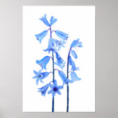 Botanische waterverf van blaasbloem poster (Voorkant)
